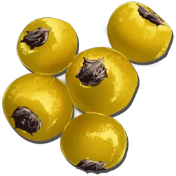 Amarberry