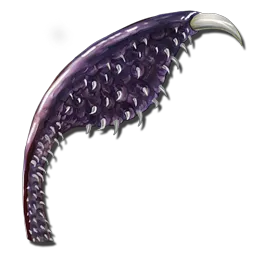 Tusoteuthis Tentacle