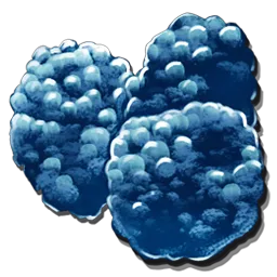 Azulberry