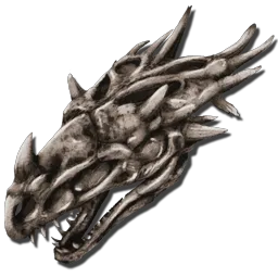 Traje de hueso de Wyvern