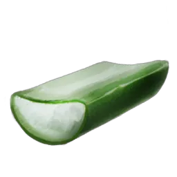 Cactus Sap