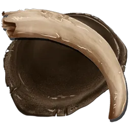 Chitin/Keratin