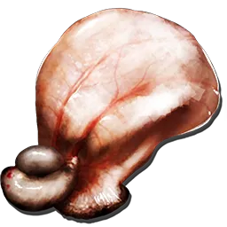 Gasbags bladder