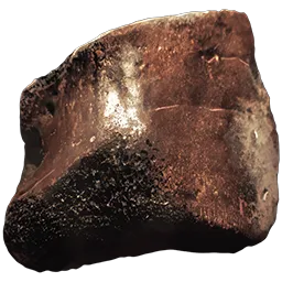 Shell Fragment