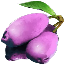 Magenberry