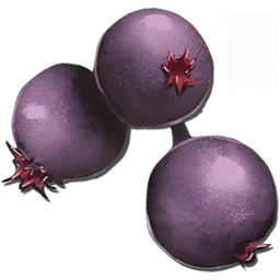 Mejoberry