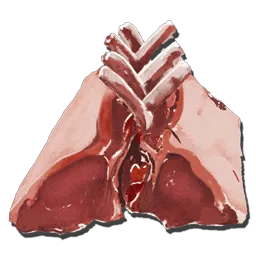 Raw Mutton