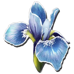 Rare Flower