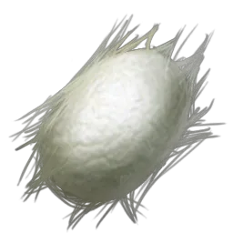 Silk